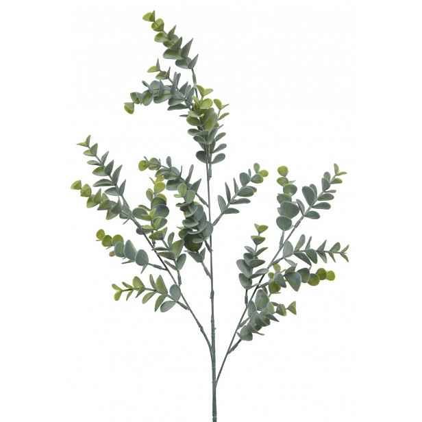 Umělá rostlina Eukalyptus 73 cm, zelená