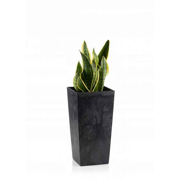 Květináč moderní s vložkou Květináč truhlík na květiny Šedý Beton 30 x 57