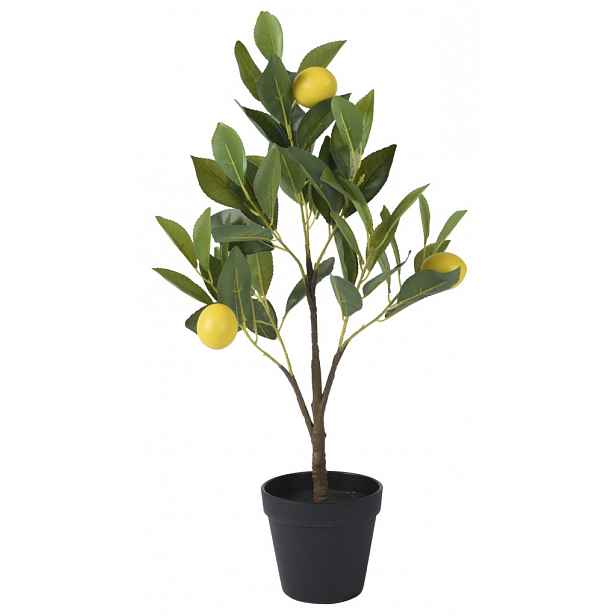 Umělá rostlina Citrónovník v květináči, 60 cm