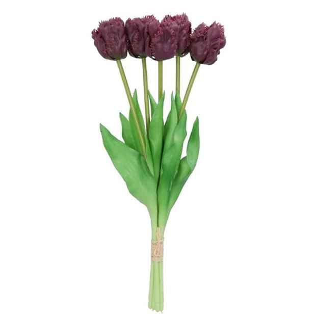 Kytice 5ks fialových realistických tulipánů Tulips Papagayo - 39 cm daan kromhout