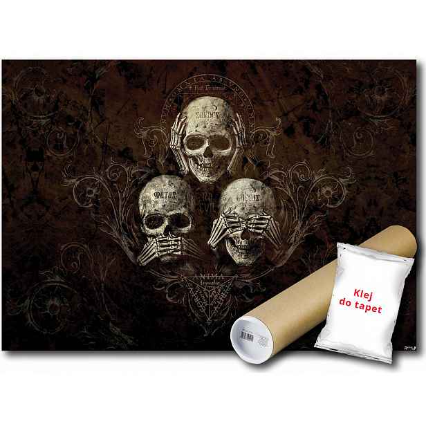 Fototapeta Lebky Lebka 21A V8 368x254 F978