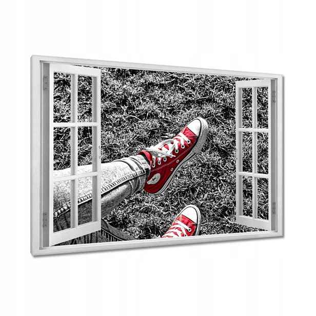 Obrazy 120x80 Červené tenisky Boty