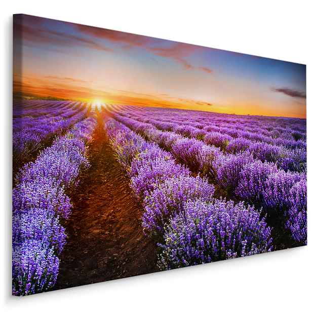 Plátno Levandule Při Západu Slunce II. Varianta: 70x50