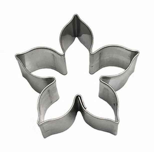 vykr.NR 3472 Klematis, 5x4,8,v.1,6cm