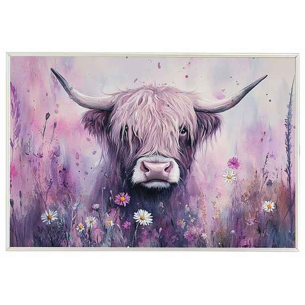 Plakát Rámeček Aluminium Příroda Portrét Krávy Highland Skotsko Louka 60x40