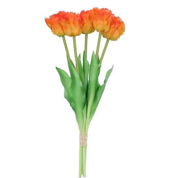 Kytice 5ks oranžových realistických tulipánů Tulips Papagayo - 39 cm daan kromhout