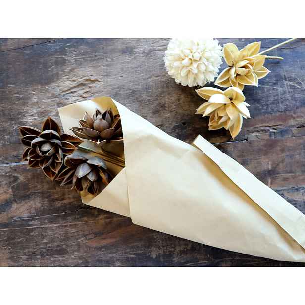 Sada sušených hnědých květin jiřinka Fleur Dahlia – 55 cm / 3ks Chic Antique