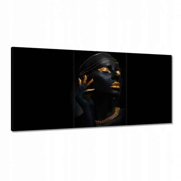 Obrazy 120x60 Zlatá aparace