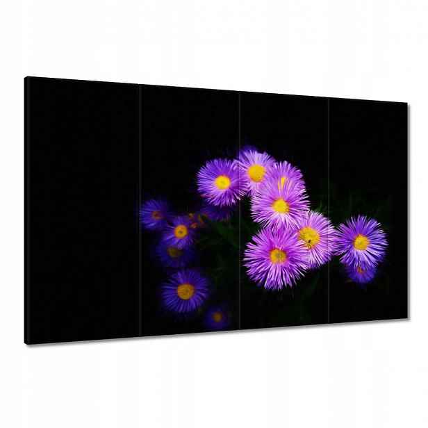 Obrazy 120x80 Fialové květy aster