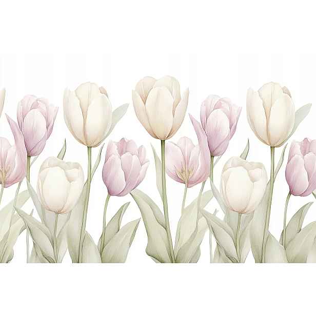 Fototapeta Flizelina Grafika Příroda Béžová Růžová Květy Tulipány 368x254 130g