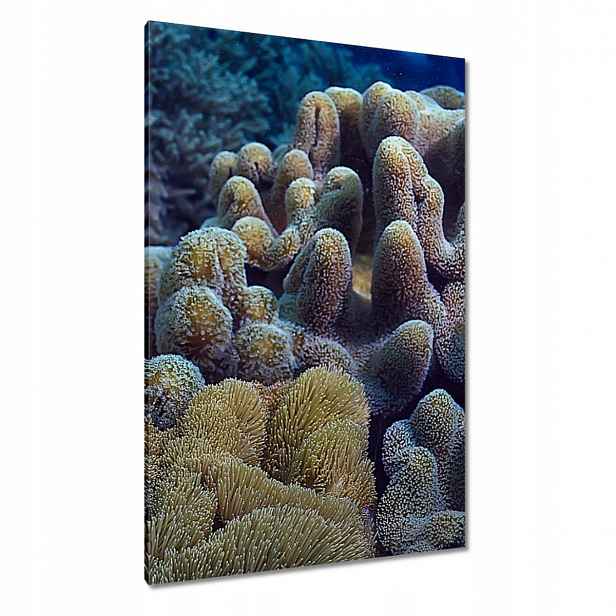 Obrazy 80x120 Žlutý korálový útes