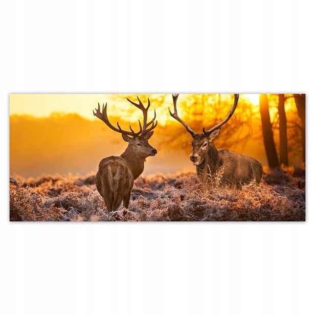 Fototapety flizelina 211x91 Jelení na řevu