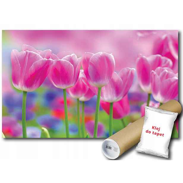 Fototapeta Růžové Tulipány 9C F2XL 312x219 F273