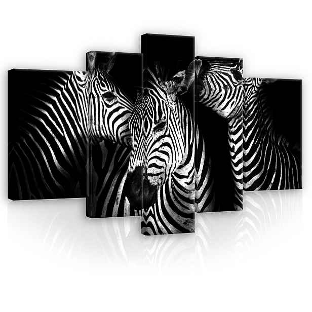 Obraz 170x100 Zebra pruhy černobílé zvířata safari minimalismus grafika