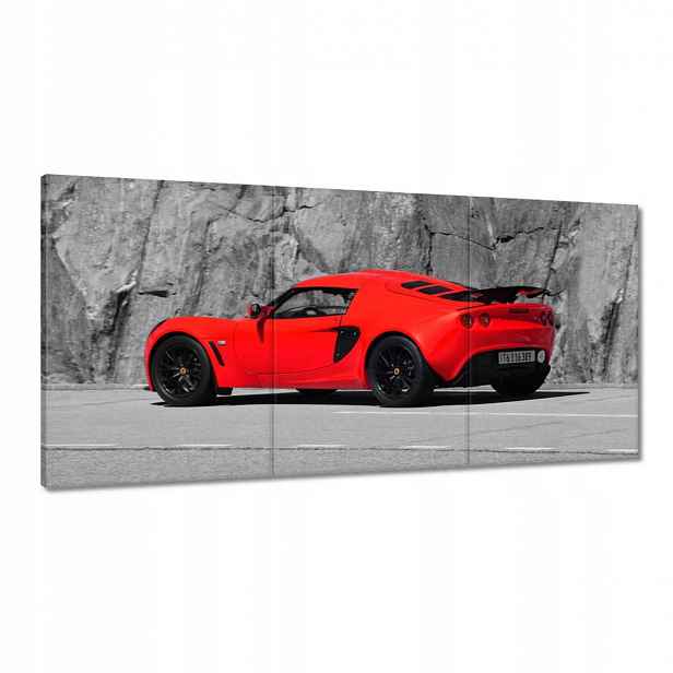 Obrazy 180x90 Červený Lotus