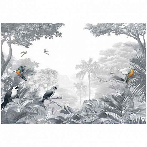 Wallarena FOTOTAPETA Jungle Parrots Grey 150x105 cm