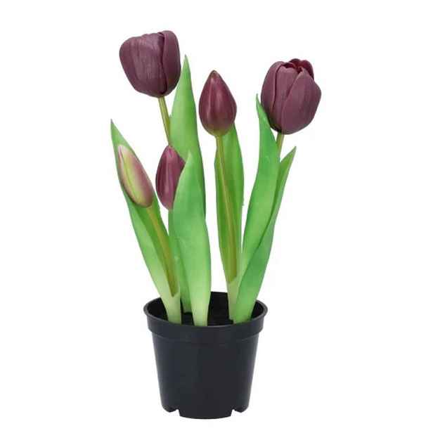 5ks fialový realistický tulipán Tulips v květináčku - Ø 8*7/ 26 cm daan kromhout