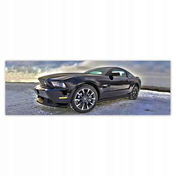Fototapety 200x66 Ford Mustang na sněhu Auto Klasika vyrobeno v Usa