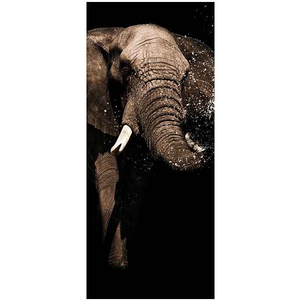 Samolepka Fototapeta Africký slon černá a bílá elegance přírody 91x211