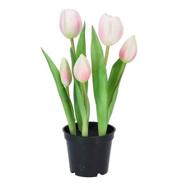 5ks růžový realistický tulipán Tulips v květináčku - Ø 8*7/ 26 cm daan kromhout