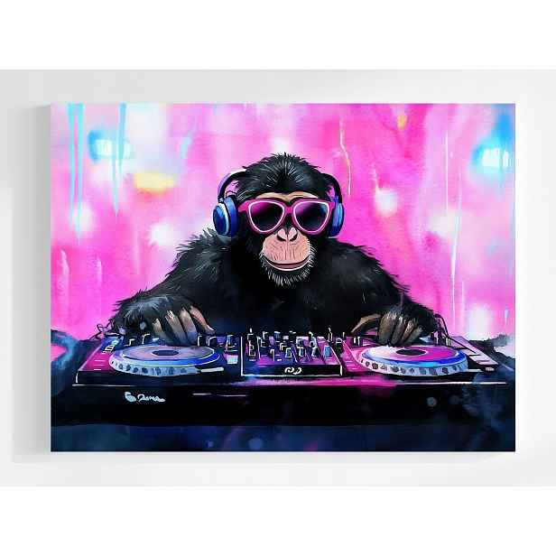 Obraz Na Plátně Canvas Párty Hudba Koncert Dj Opice Szympans 80x60