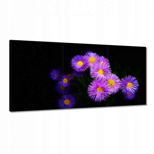 Obrazy 180x90 Fialové květy aster