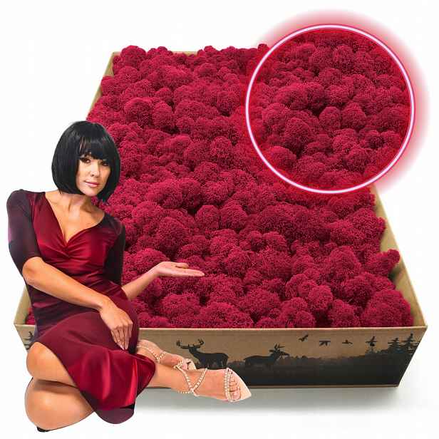 Mech Chrobotek Reniferový finský 2kg Čištěný Premium nejvyšší kvalita