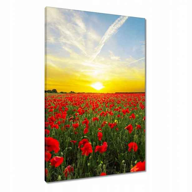 Obrazy 60x90 Pole máků se západem