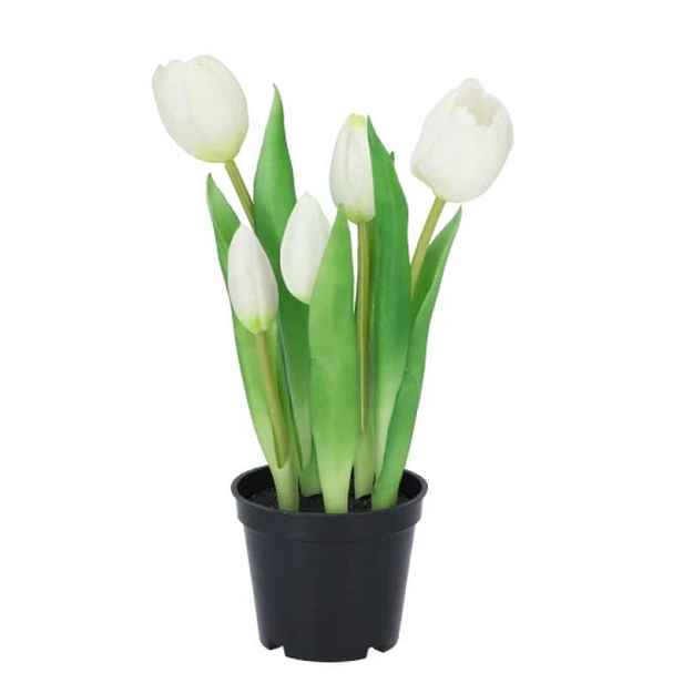 5ks bílý realistický tulipán Tulips v květináčku - Ø 8*7/ 26 cm daan kromhout