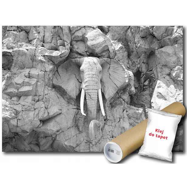 Fototapeta Slon Kámen 6E F3XL 416x254 F10116