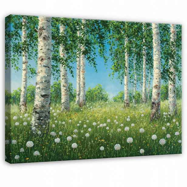 Wallarena OBRAZ na plátně Břízově zelený les 60x40 cm
