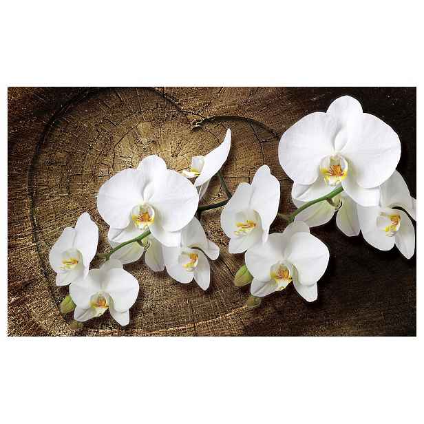 Fototapeta Bílé orchideje na dřevě Makro Elegance 208x146 lepidlo