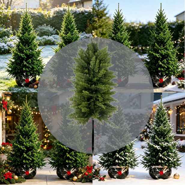 TEMU 29,92palcové velké venkovní umělé zelené rostliny Vánoční Norfolk Pine stromek do země, vhodný pro zahradní a dvorní vánoční dekorace, vánoční