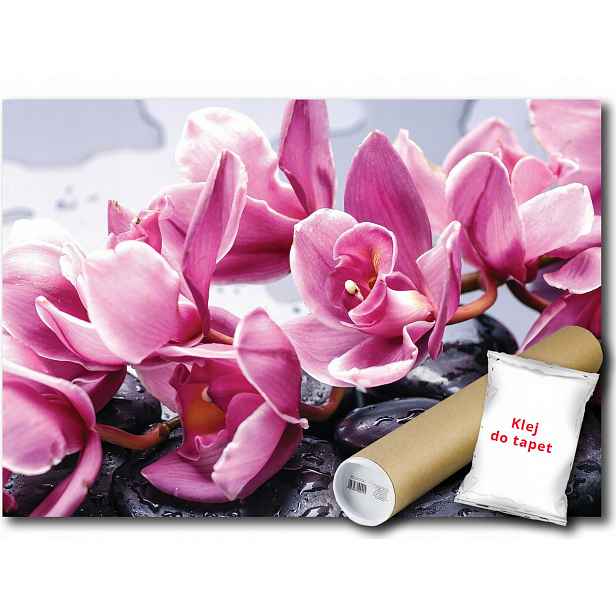 Vliesová fototapeta Orchidej Kameny 254x184