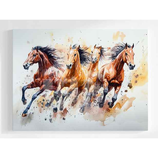 Obraz Na Plátně Canvas Koně Kůň Rumak Běh Cval Zvířata 80x60