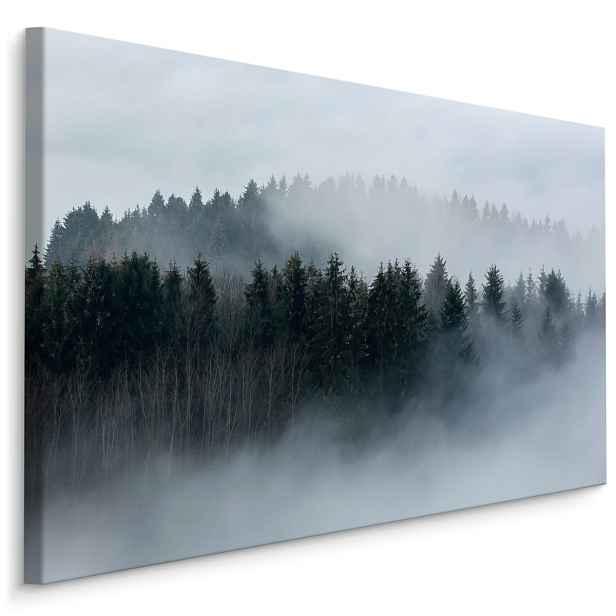 Plátno Stromy V Mlze Varianta: 70x50