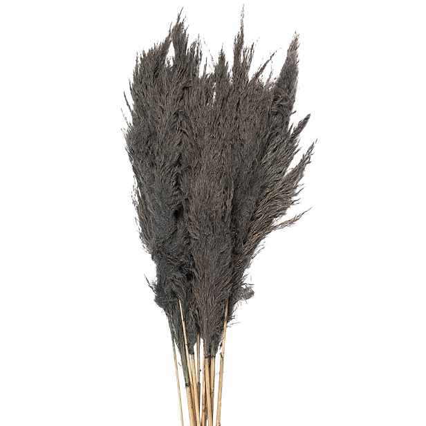 Šedá kytice sušené květy bambusu Bamboo  - 100 cm (10ks) Clayre & Eef