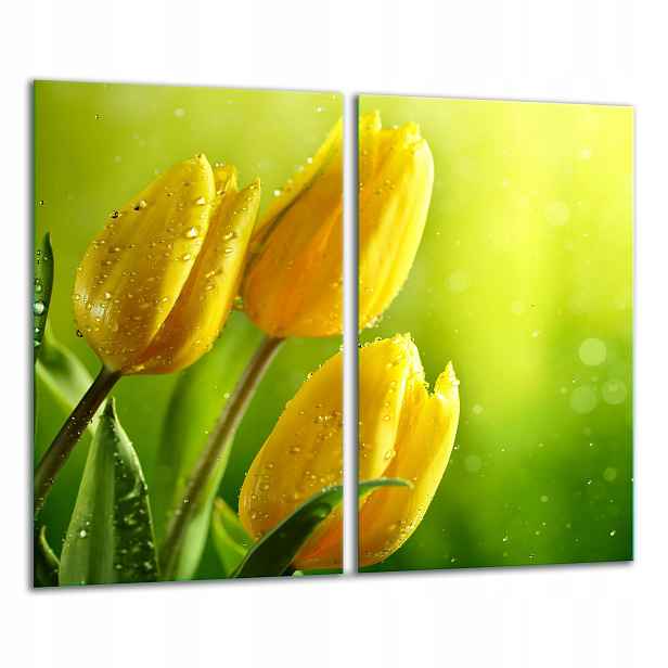 7v1 Skleněná Krájecí Deska 2x 30x52 Tulipán