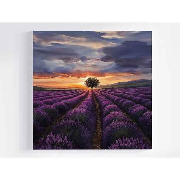 Obraz Na Plátně Canvas Pole Levandule Západ Slunce Provence 50x50