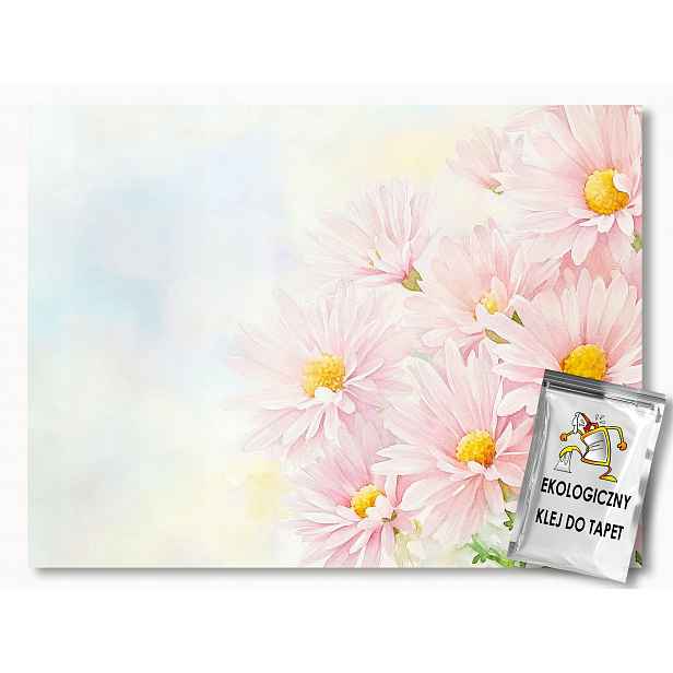 Fototapeta Flizelina Jaro Zahrada Květy Růžové Chryzantémy 368x254 130g