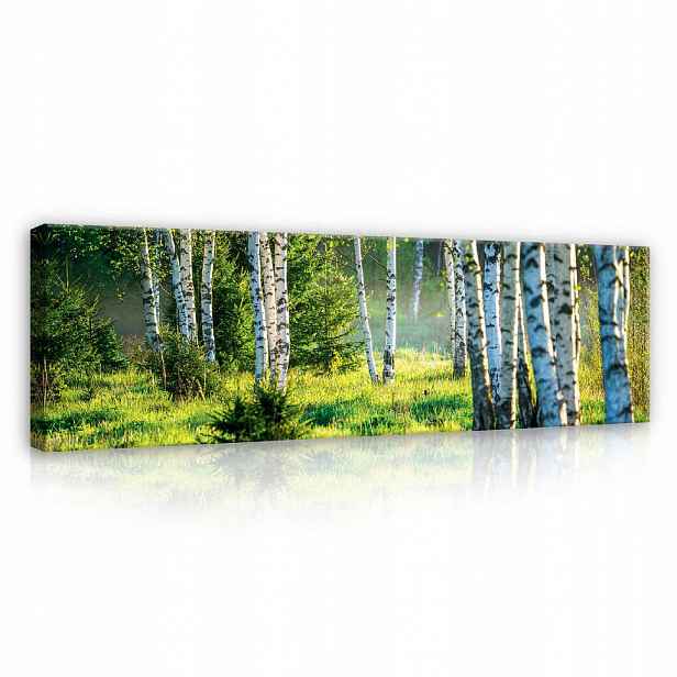 Wallarena OBRAZY Les Moderní obývací pokoj Ložnice 145x45