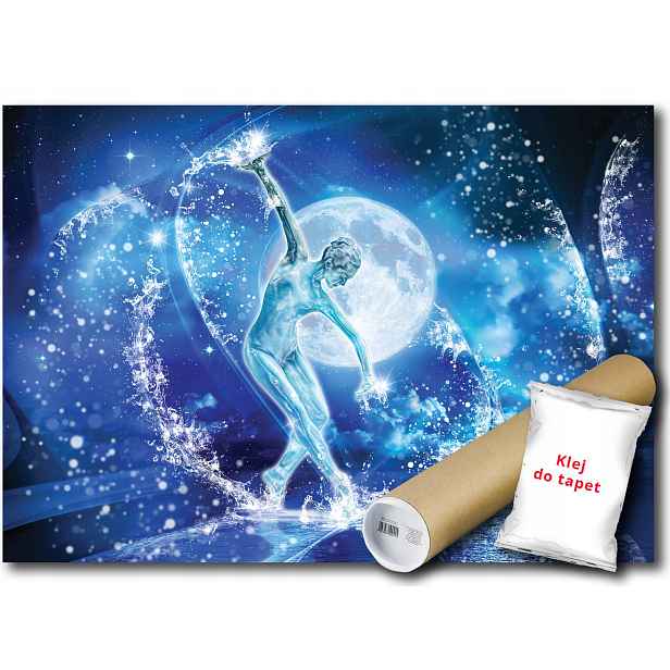 Fototapeta Baletní Tanec 16A F2XL 312x219 F3329