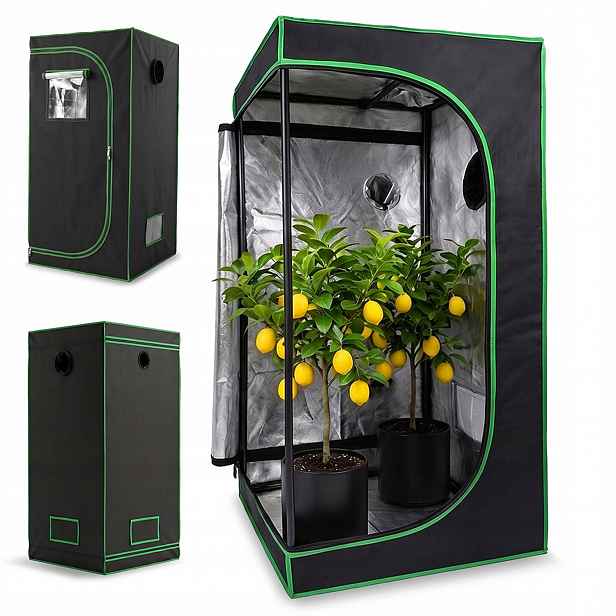 Stan Pro Pěstování Rostlin 160x80x80 CM Growbox Domácí Skleník S Podnosovým Oknem