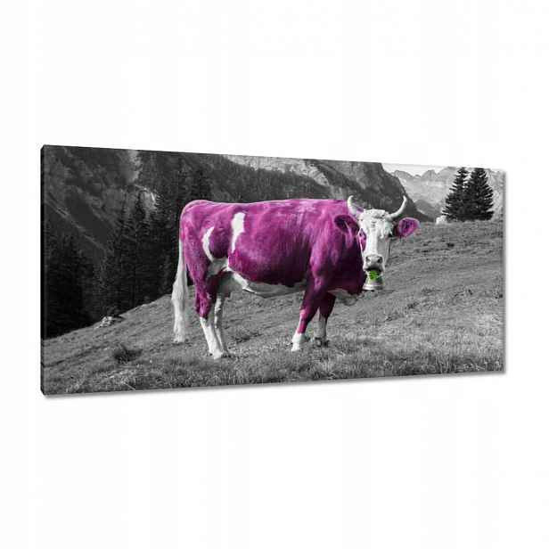 Obrazy 115x55 Fialová kráva Emilka