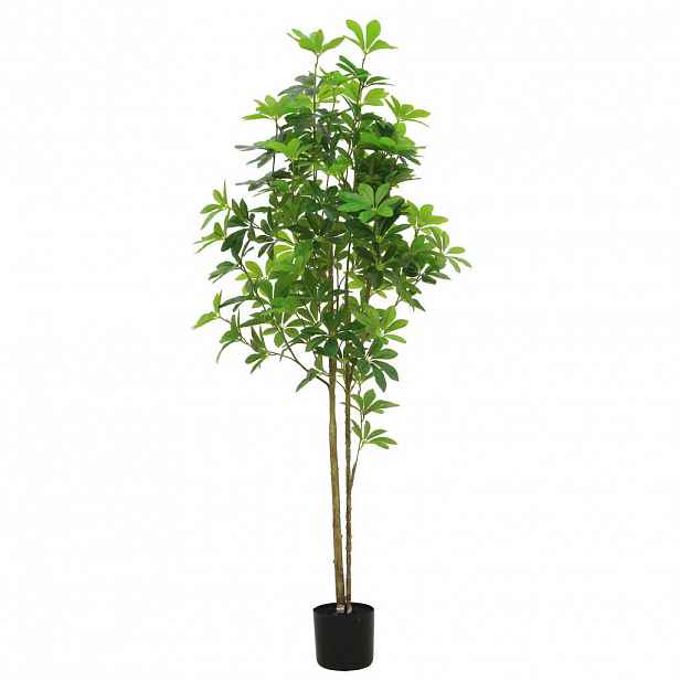 Ambia Home UMĚLÁ ROSTLINA bonsaj 150 cm