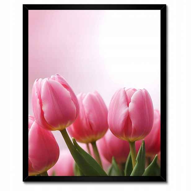 Plakáty v rámu 40x50 Růžové tulipány