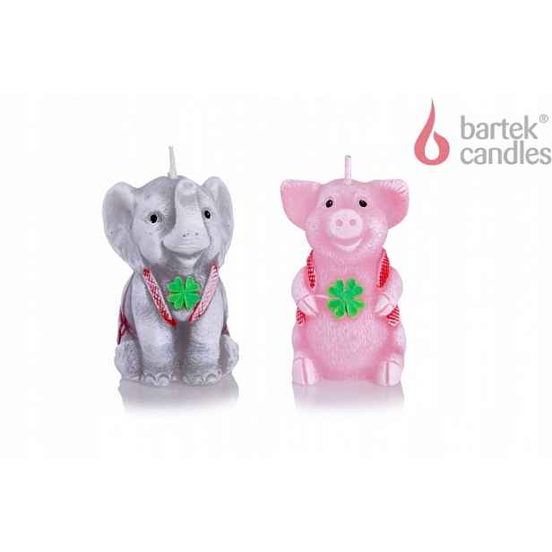 Svíčka Figurky Happiness 75mm Mix 20 Ks Zvířátka Display Bartek Candles