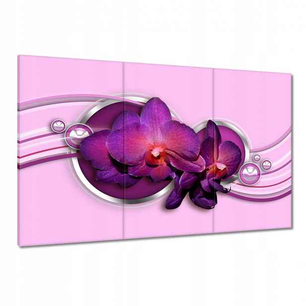 Obrazy 120x80 Fialový orchidej