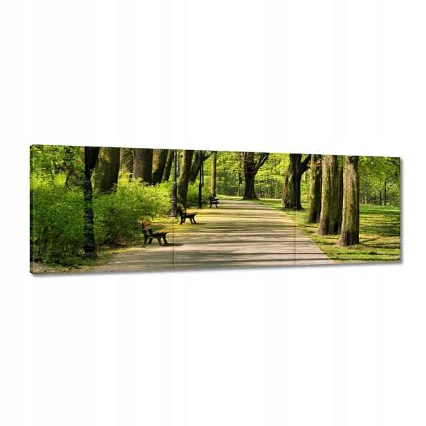 Obrazy 120x40 Park Citadela
