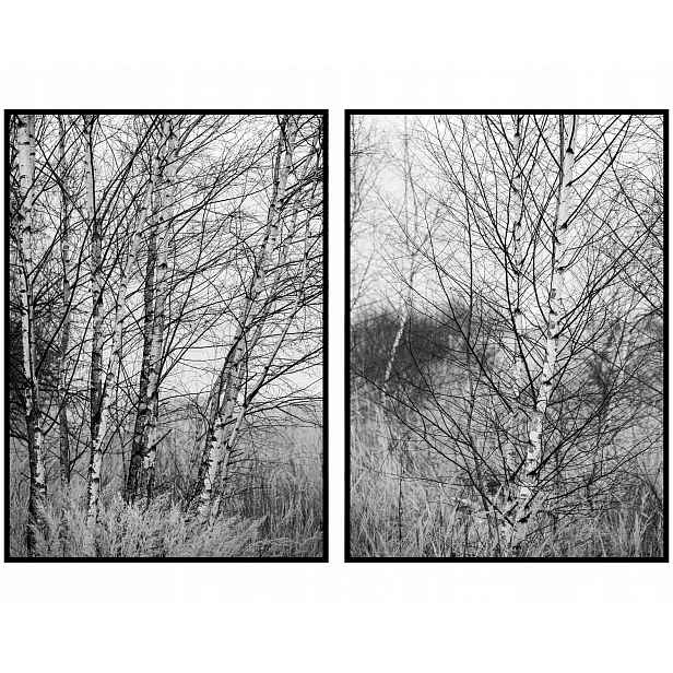 Plakáty na zeď stromy černobílé 2ks 50x70cm